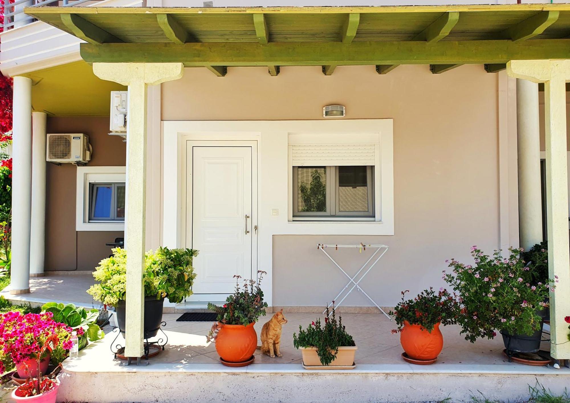 Green Studio Nidri Exterior photo